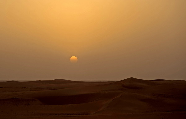 Schimbarea dramatica a Europei in urmatorii ani.Produsul fara care nu putem trai, pe cale sa dispara