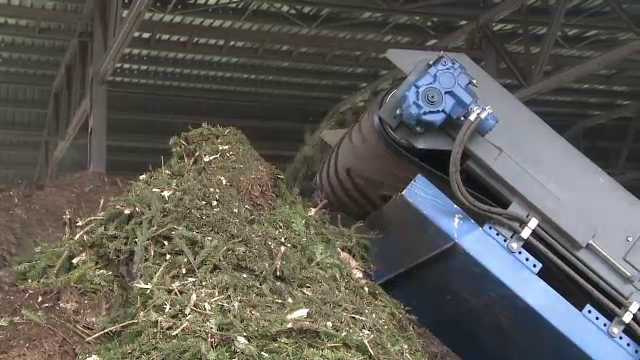 Masina care "transforma" brazii uscati in bani. Metoda prin care primaria din Galati face profit