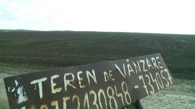 teren