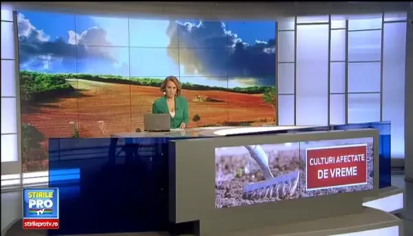 Cea mai secetoasa luna decembrie din ultimii 41 de ani. Cum vor fi afectate culturile agricole