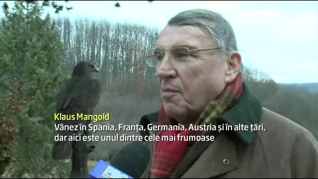 vanatoare tiriac - 7