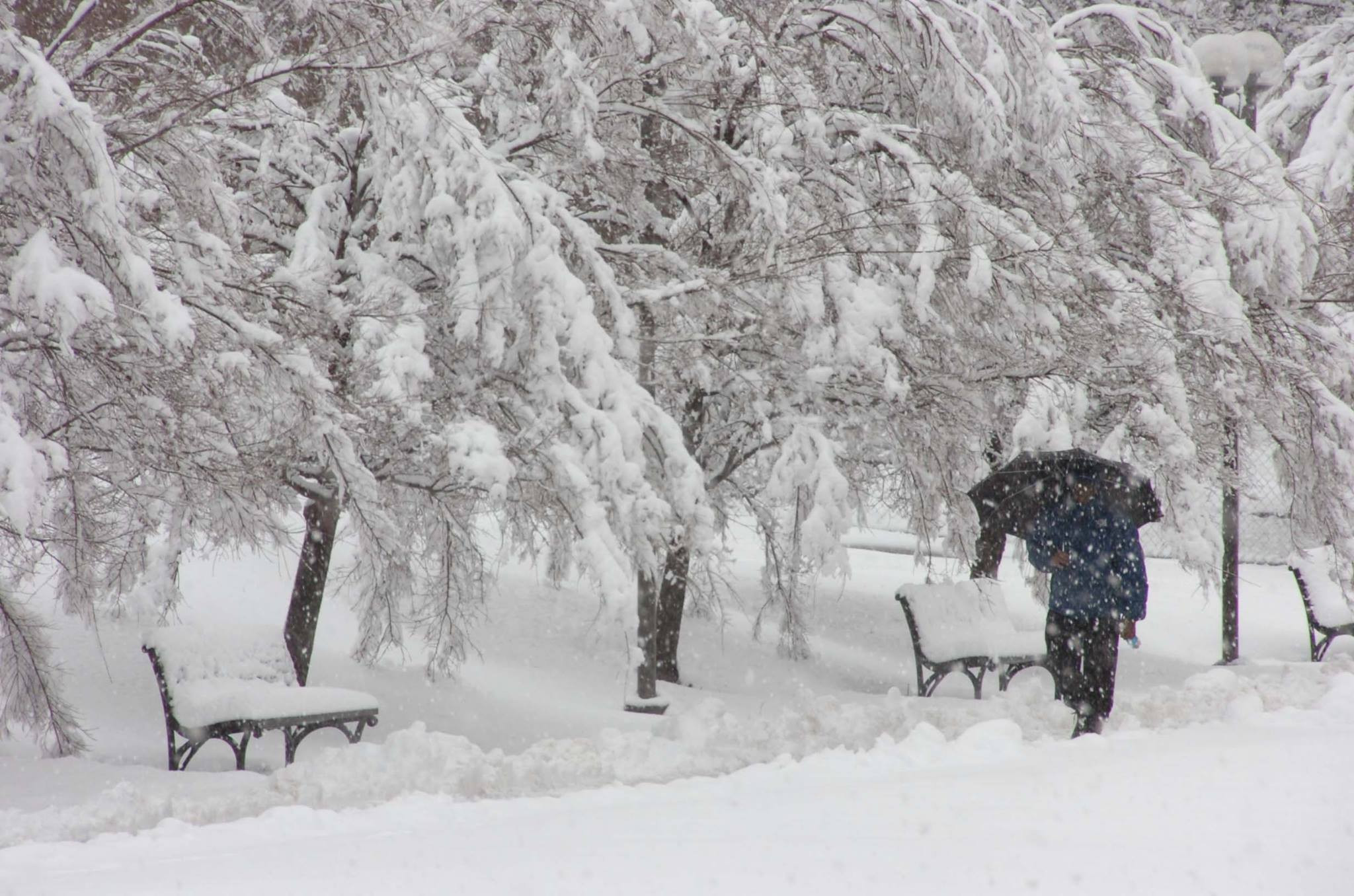 De azi incep NINSORILE. Care sunt zonele si ce temperaturi sunt prognozate in tara