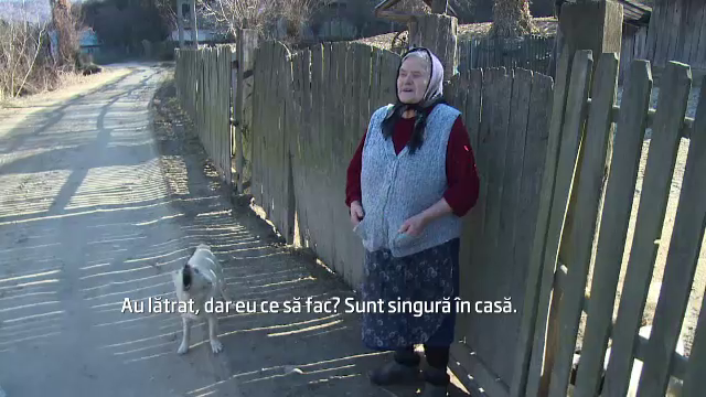 "Eu ce sa fac, sunt singura." Cum a intrat un sat din Romania in carantina din cauza unui lup turbat