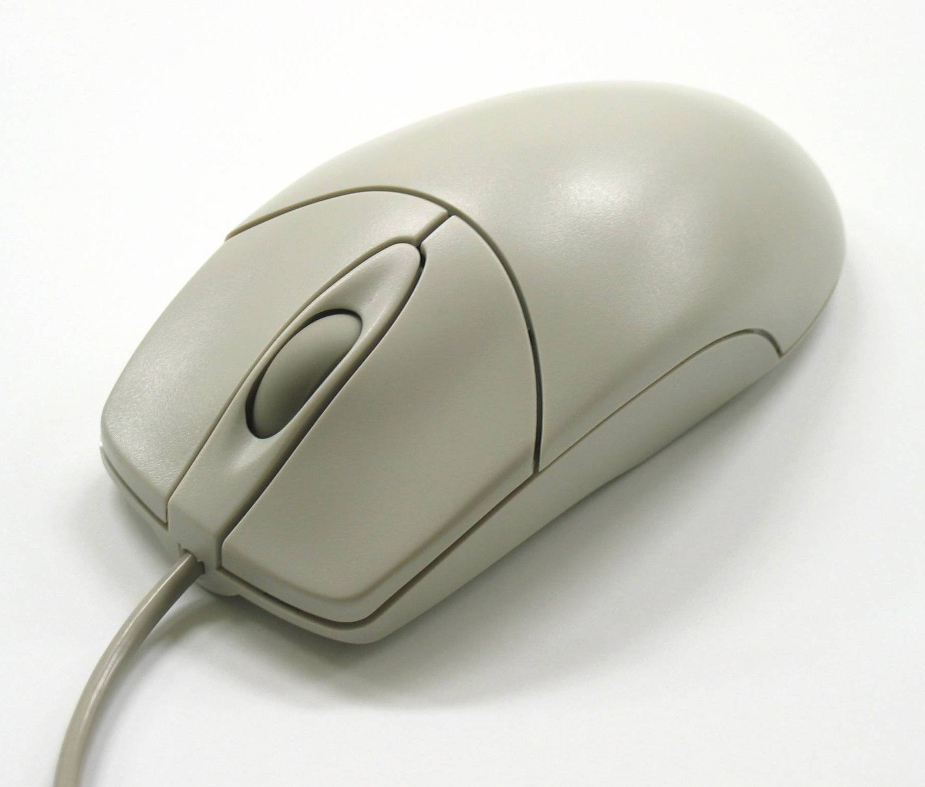 mouse