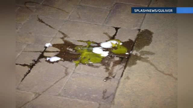 Justin Bieber, investigat de politie dupa ce a "bombardat" cu oua casa unui vecin