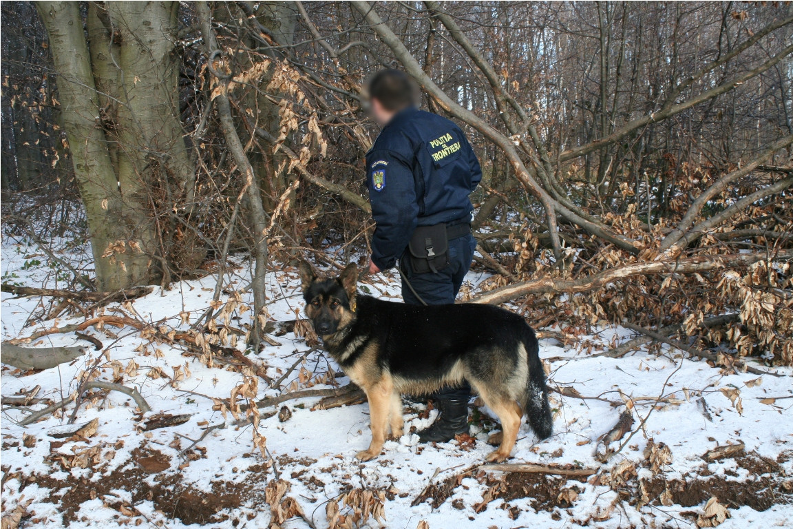 Contrabandisti agresivi retinuti in urma unor focuri de arma la frontiera cu Ucraina