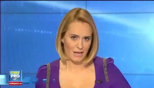 Aparitie exotica in Arad. Un cangur a fost descoperit si prins in zona garii, insa a murit pe drum spre veterinar