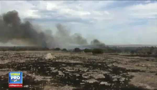 CLIPUL ZILEI: Zeci de incendii au izbucnit in Australia din cauza caniculei