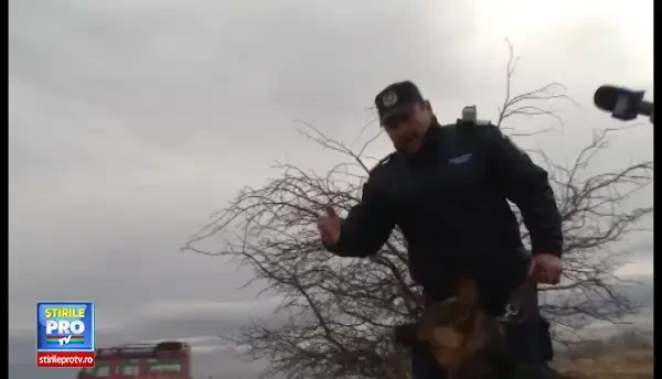 Cautari disperate in judetul Alba, dupa ce un barbat de 78 de ani a disparut de sase zile