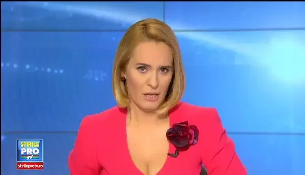 CLIPUL ZILEI: O masina este atacata de un elefant intr-un safari