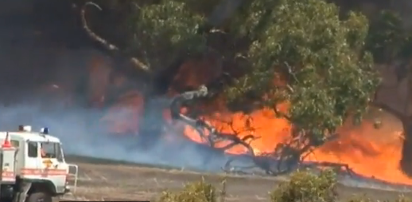 Cum arata cel mai fierbinte oras de pe planeta. Efectele grave ale temperaturilor de 46 de grade, in Australia
