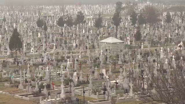 Cavou drept spaga pentru un fost judecator din Ploiesti. Ce a promis in schimbul "atentiei"