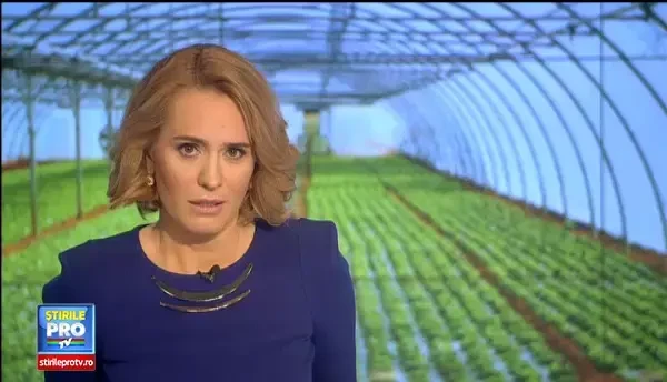 Temperaturile de primavara din ianuarie lovesc si in preturi. Cat costa salata si ceapa verde