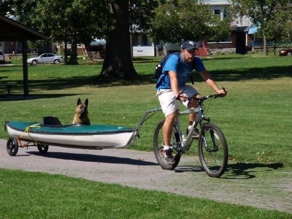 Imagini emotionante. Modul inedit in care un american isi plimba cainele cu dizabilitati. FOTO