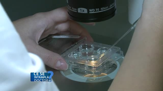 Renuntati la fast food, consumati plante verzi si stati mult timp in aer liber. Sfaturi pentru a transmite gene sanatoase