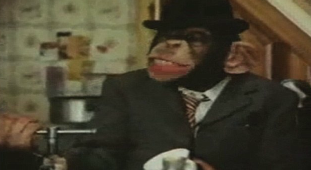 Drama cimpanzeului Choopers, care trebuie sa invete din nou sa se comporte ca o maimuta. VIDEO