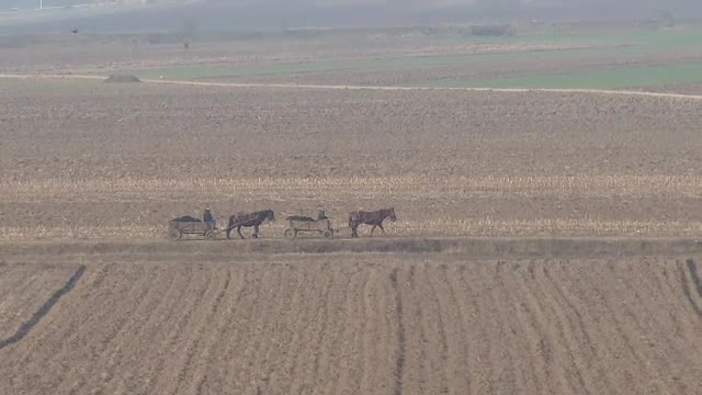 Fratia fermierilor. Reportaj in locurile din Romania unde proprietarii au invatat ca unde-s multi, puterea creste