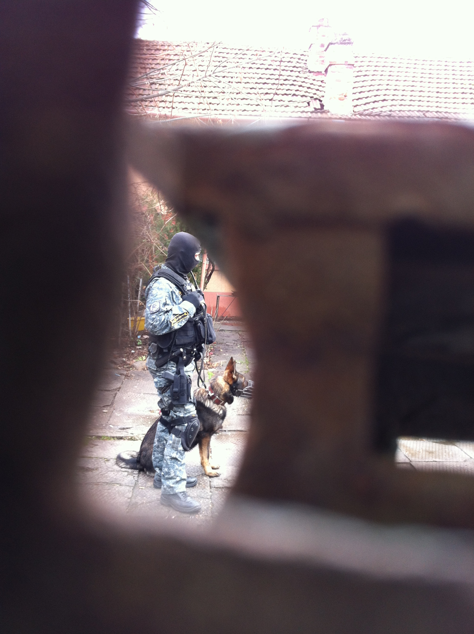 Spargatori de apartamente, prinsi de politistii din Alba Iulia