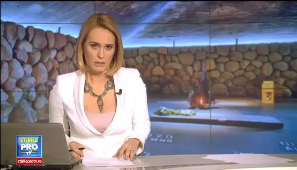 Elan Schwartzenberg, cautat de DNA, dorea o discutie cu Traian Basescu, in Israel. Presedintele si-a schimba insa programul