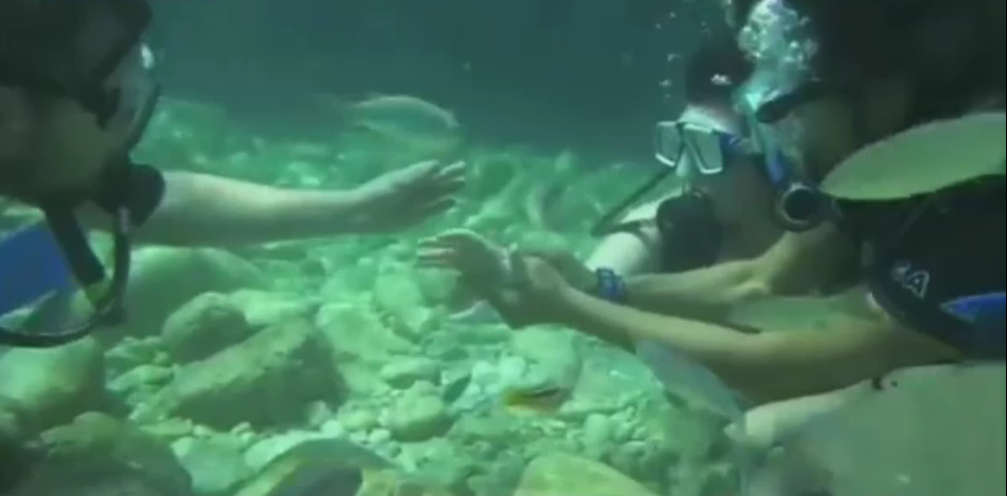 Cerere in casatorie la 20 de metri sub apa. Cum era sa se inece de emotie iubita unui britanic