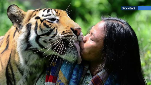Prietenia pe care nimeni nu si-o poate explica. Un barbat doarme in pat cu un tigru, cea mai periculoasa felina