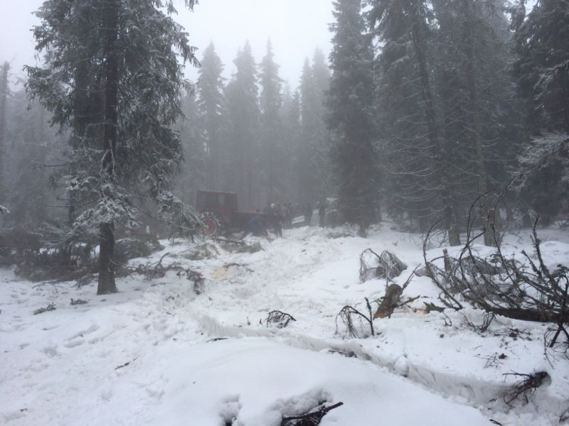 Epava avionul prabusit in Apuseni