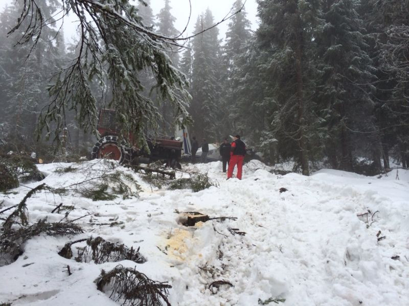 Epava avionul prabusit in Apuseni