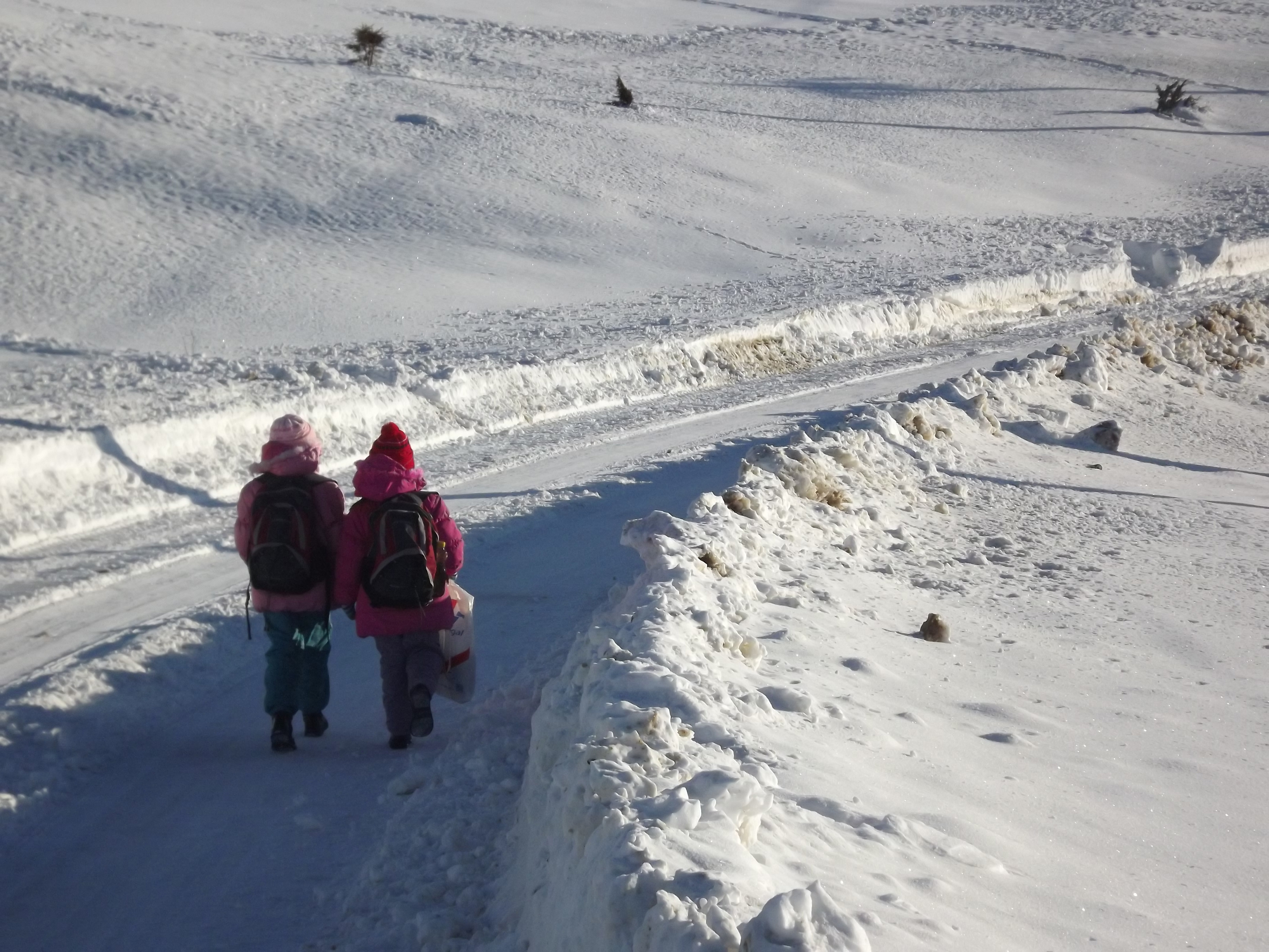 Scolile ar putea fi inchise din cauza codului portocaliu. Ministerul Educatiei a anuntat ca urmareste cu atentie situatia
