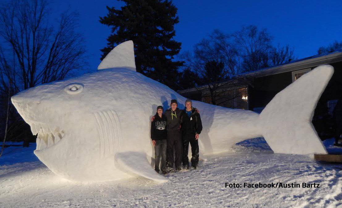 Ce faci cand ai prea mult omat in curte: un rechin gigantic de zapada