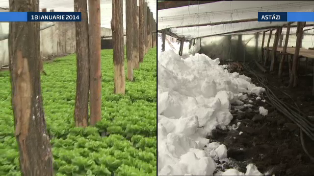 De la verde la alb in doar 10 zile intr-o sera din Galati. Imaginea dezastrului provocat de viscolul din weekend