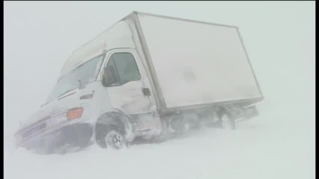 Aprovizionare cu emotii inainte de ciclon. Riscam sa nu mai gasim legume, fructe si lapte in magazine