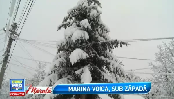 Marina Voica, izolata de zapezi si fara provizii, timp de 2 zile. De unde a venit salvarea