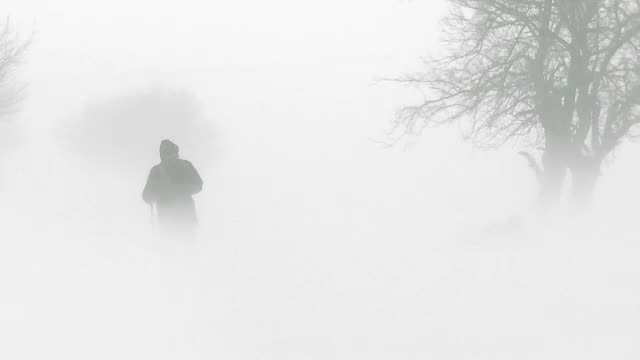 Dramele romanilor care sunt nevoiti sa infrunte zapada si viscolul pentru a nu muri de foame