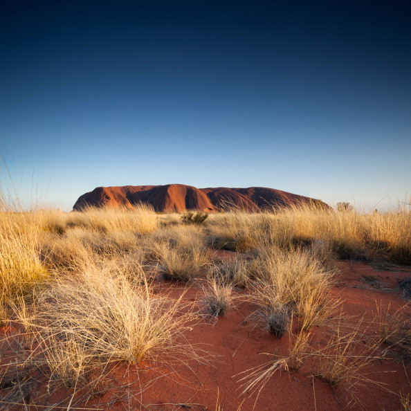 A iesit la plimbare, dar s-a ratacit. Cum l-au gasit autoritatile dupa 28 de zile de disparitie