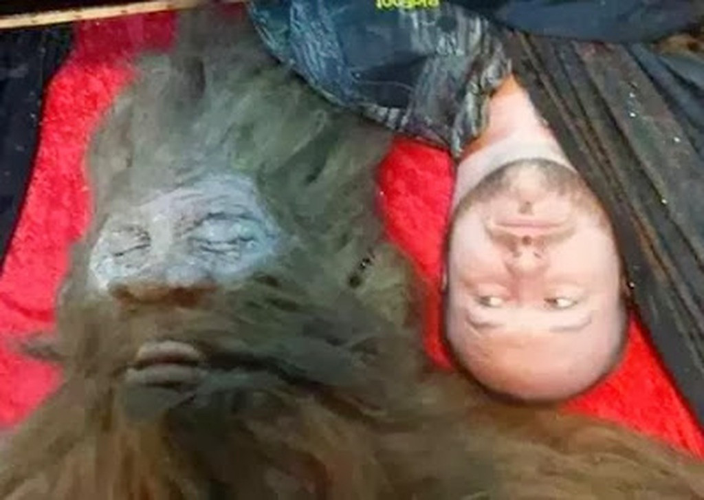 Bigfoot