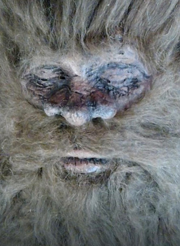 Bigfoot