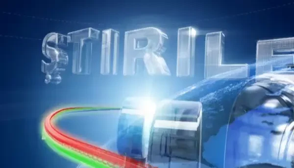 Marea defrisare 3. Aproape 3 hectare de padure au disparut la ras, ilegal in fiecare ora, in ultimii 23 de ani