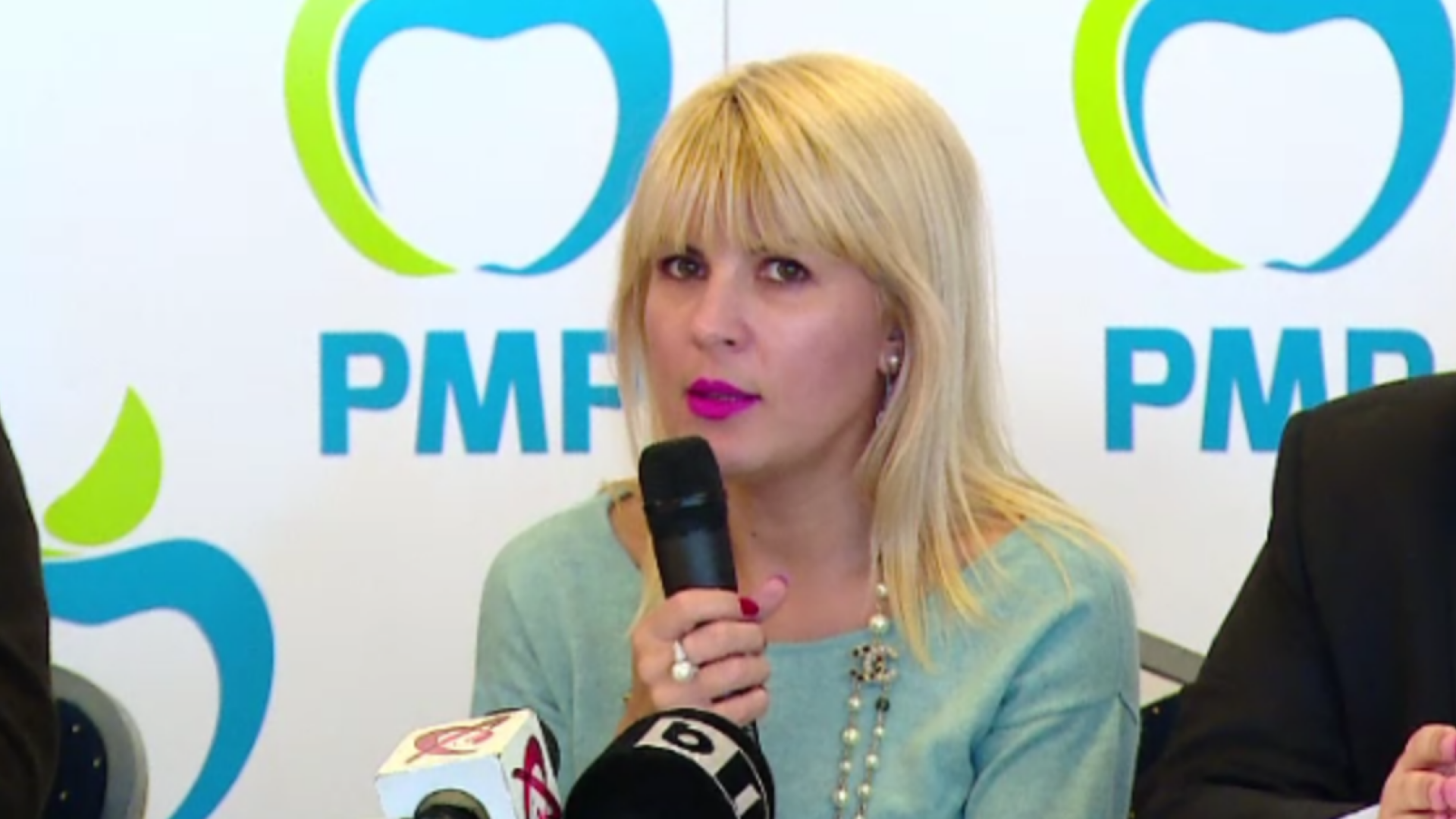 Elena Udrea: Iohannis sa cheme partidele la negocieri, pentru un pact privind creditele neperformante