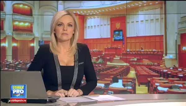 Deputatul PMP Elena Udrea spune ca partidul poate sustine un candidat la Presedintie. Ce declara Vasile Blaga