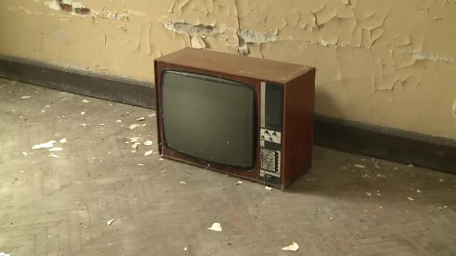 Castel de vanzare in Arad