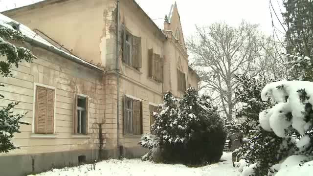 Castel de vanzare in Arad