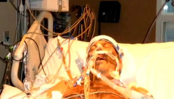 A salvat o pisica de la moarte, iar in 48 de ore medicii au vrut sa ii declare chiar lui decesul. Ce s-a intamplat. VIDEO