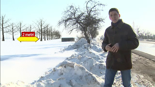 Marea reimpadurire a drumurilor. Cat ar costa 20.000 de hectare de copaci pentru "perdelele" care sa ne apere de viscol