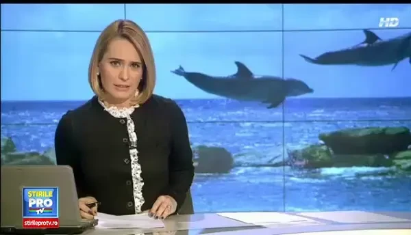 Remus Cernea vrea o lege prin care delfinii sa fie declarati primele persoane non-umane. Reactia colegilor deputati