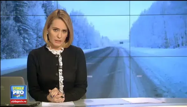 Solutia autoritatilor impotriva viscolului: perdelele forestiere. Romania ar avea nevoie de 20.000 de hectare cu pomi