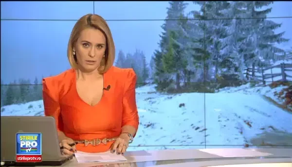 Ancheta penala duce la ministere. Rolul important pe care il avea Ramona Manescu, desi a considerat ca nu era cazul