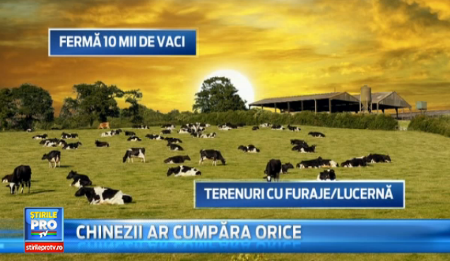 Badea Ionut, fata in fata cu limba chineza. Oamenii de afaceri din Asia vor sa cumpere ferme si fabrici de lapte romanesti