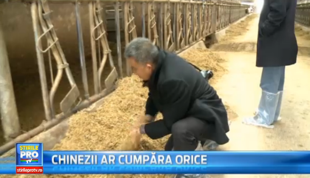 Agricultori chinezi in Romania