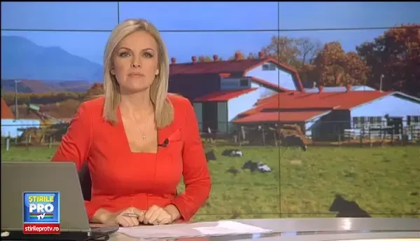 Badea Ionut, fata in fata cu limba chineza. Oamenii de afaceri din Asia vor sa cumpere ferme si fabrici de lapte romanesti