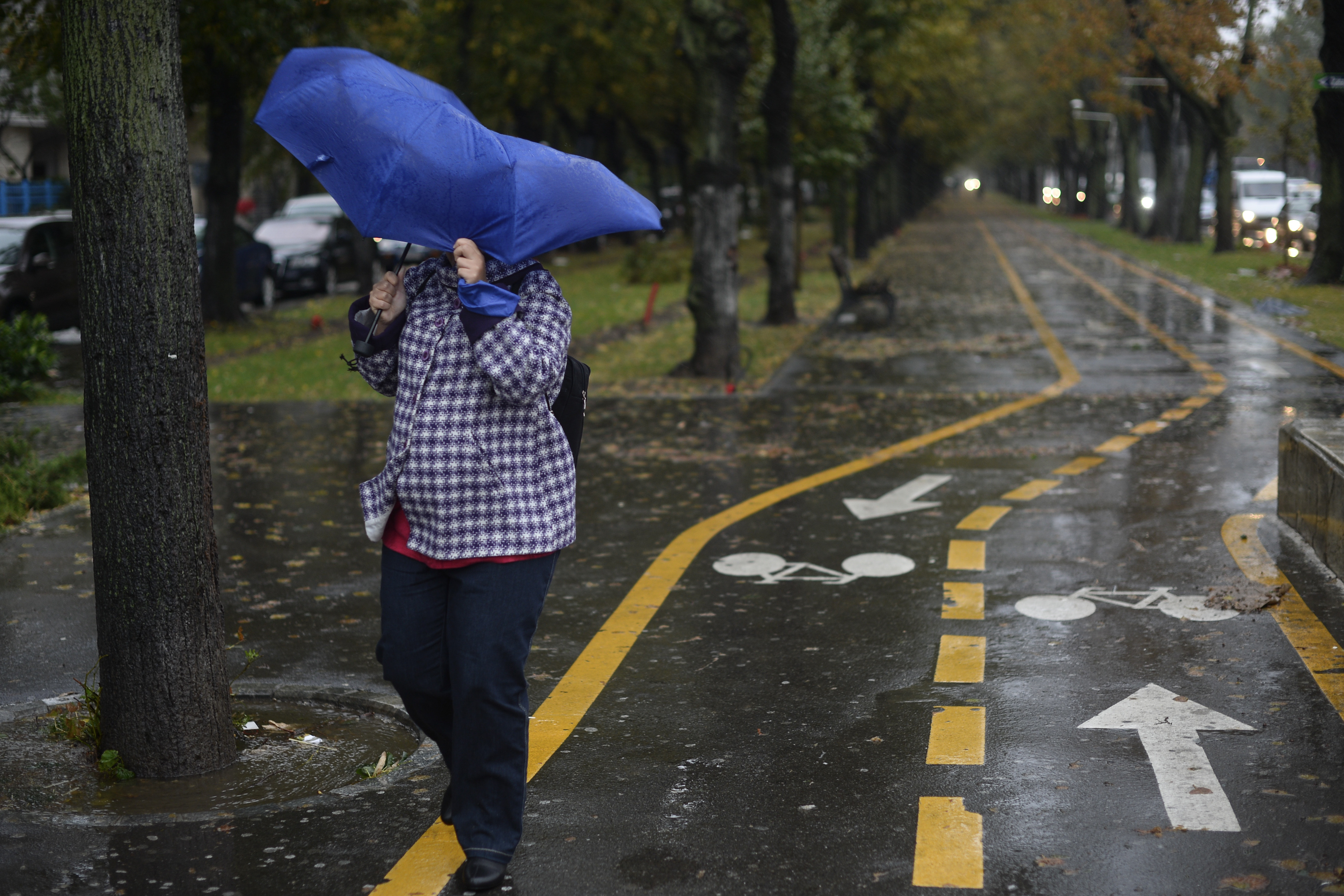Prognoza meteo pentru perioada urmatoare. Incepand de marti, ploile pun stapanire pe mai multe zone ale tarii
